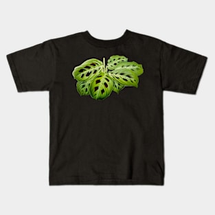 Maranta leuconeura var. kerchoveana - Botanical illustration Kids T-Shirt